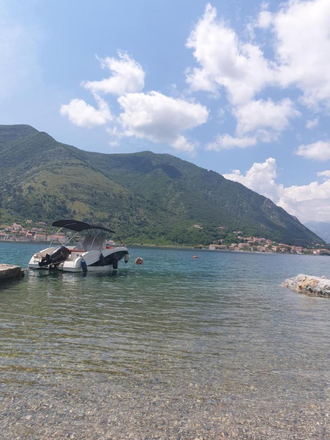 Savic Apartments Kotor Værelse billede