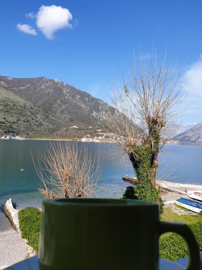 Savic Apartments Kotor Eksteriør billede