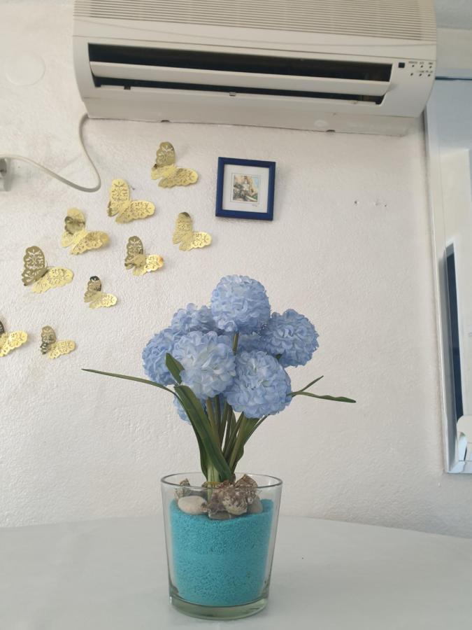 Savic Apartments Kotor Eksteriør billede